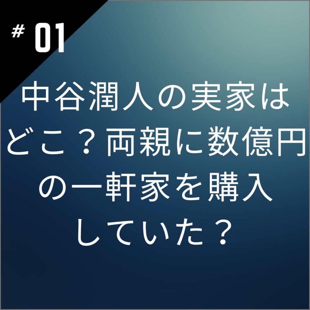 中谷潤人の実家はどこ？両親に数億円の一軒家を購入していた？